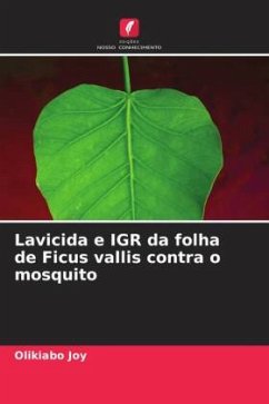 Lavicida e IGR da folha de Ficus vallis contra o mosquito - Joy, Olikiabo