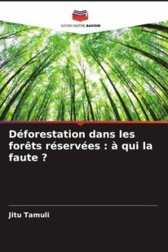 Déforestation dans les forêts réservées : à qui la faute ? - Tamuli, Jitu