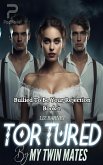 Tortured By My Twin Mates (eBook, ePUB)