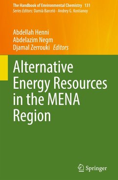 Alternative Energy Resources in the MENA Region