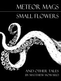 Meteor Mags: Small Flowers and Other Tales (eBook, ePUB)