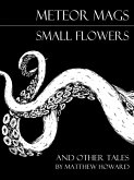 Meteor Mags: Small Flowers and Other Tales (eBook, ePUB) Meteor Mags: Small Flowers and Other Tales (eBook, ePUB)