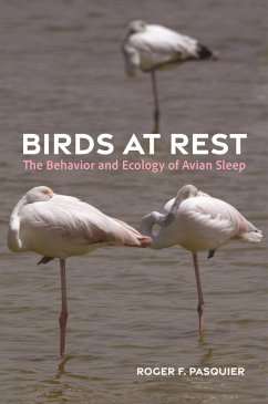 Birds at Rest (eBook, ePUB) - Pasquier, Roger