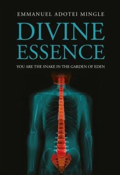Divine Essence (eBook, ePUB) - Mingle, Emmanuel Adotei