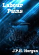 Labour Pains (eBook, ePUB) - Bild 1