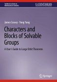 Characters and Blocks of Solvable Groups (eBook, PDF)