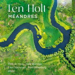 Ten Holt:Meandres - Wieringa/Dijkhuizen/Oldenburg/De Haas