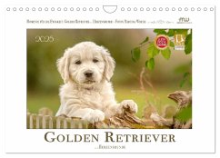 Golden Retriever... Herzenshunde (Wandkalender 2025 DIN A4 quer), CALVENDO Monatskalender