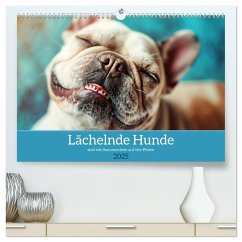 Lächelnde Hunde sind wie Sonnenschein auf vier Pfoten (hochwertiger Premium Wandkalender 2025 DIN A2 quer), Kunstdruck in Hochglanz