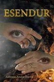 ESENDUR (eBook, ePUB)