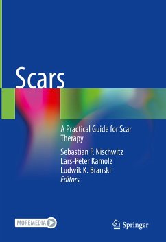 Scars (eBook, PDF)