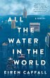 All the Water in the World (eBook, ePUB) - Bild 1