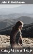 Caught in a Trap (eBook, ePUB) - Bild 1