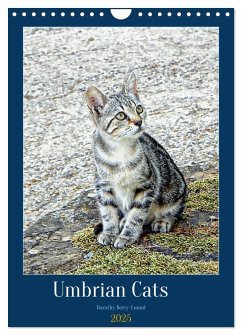 Umbrian Cats (Wall Calendar 2025 DIN A4 portrait), CALVENDO 12 Month Wall Calendar