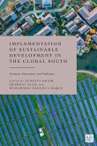 Implementation of Sustainable Development in the Global South