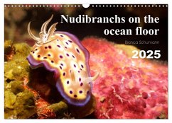 Nudibranchs on the ocean floor (Wall Calendar 2025 DIN A3 landscape), CALVENDO 12 Month Wall Calendar - Schumann, Bianca