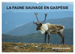 LA FAUNE SAUVAGE EN GASPÉSIE (Calendrier mural 2025 DIN A3 vertical), CALVENDO calendrier mensuel