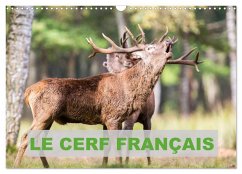 Le Cerf Français (Calendrier mural 2025 DIN A3 vertical), CALVENDO calendrier mensuel - Edouard, Bernasconi