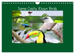 Some Costa Rican Birds (Wall Calendar 2025 DIN A4 landscape), CALVENDO 12 Month Wall Calendar - Navarro, Adrian