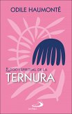 Elogio espiritual de la ternura