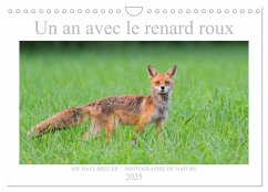 Un an avec le renard roux (Calendrier mural 2025 DIN A4 vertical), CALVENDO calendrier mensuel