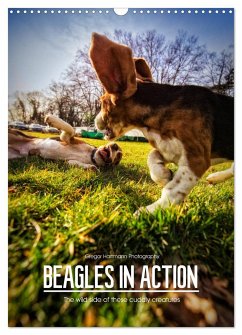 Beagles in action (Wall Calendar 2025 DIN A3 portrait), CALVENDO 12 Month Wall Calendar