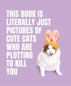 This Book is Literally Just Pictures of Cute Cats Who Are Plotting to Kill You - Smith Street Books