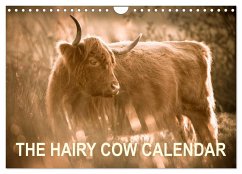 The Hairy Cow Calendar (Wall Calendar 2025 DIN A4 landscape), CALVENDO 12 Month Wall Calendar