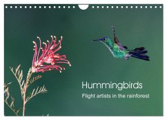 Hummingbirds - Flight artists in the rainforest (Wall Calendar 2025 DIN A4 landscape), CALVENDO 12 Month Wall Calendar - Oberholzer, David