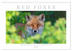 Red Foxes 2025 (Wall Calendar 2025 DIN A3 landscape), CALVENDO 12 Month Wall Calendar - Krutz, Christina