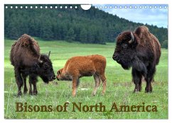 Bisons of North America (Wall Calendar 2025 DIN A4 landscape), CALVENDO 12 Month Wall Calendar - Wilczek, Dieter