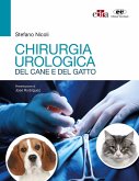 Cirugía urológica del perro y el gato