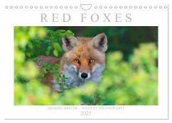 Red Foxes 2025 (Wall Calendar 2025 DIN A4 landscape), CALVENDO 12 Month Wall Calendar - Krutz, Christina