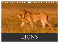 Lions ¿ Photographies de la faune (Calendrier mural 2025 DIN A4 vertical), CALVENDO calendrier mensuel