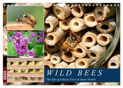 Wild bees - The life of solitary bees in insect hotels (Wall Calendar 2025 DIN A4 landscape), CALVENDO 12 Month Wall Calendar