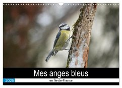 Mes anges bleus en Île-de-France (Calendrier mural 2025 DIN A3 vertical), CALVENDO calendrier mensuel