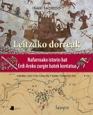 Leitzako dorreak Leitzako dorreak