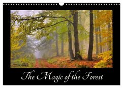 The Magic of the Forest (Wall Calendar 2025 DIN A3 landscape), CALVENDO 12 Month Wall Calendar