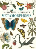 Maria Sibylla Merian's Metamorphosis