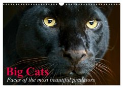 Big Cats ¿ Faces of the most beautiful predators (Wall Calendar 2025 DIN A3 landscape), CALVENDO 12 Month Wall Calendar