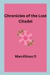 Chronicles of the Lost Citadel - Bild 1