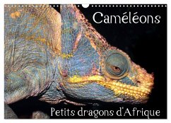 Caméléons - Petits dragons d'Afrique. (Calendrier mural 2025 DIN A3 vertical), CALVENDO calendrier mensuel