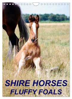 Shire Horses, Fluffy Foals (Wall Calendar 2025 DIN A4 portrait), CALVENDO 12 Month Wall Calendar