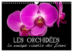 Les Orchidées - La musique visuelle des fleurs (Calendrier mural 2025 DIN A4 vertical), CALVENDO calendrier mensuel