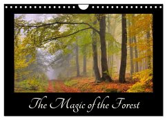 The Magic of the Forest (Wall Calendar 2025 DIN A4 landscape), CALVENDO 12 Month Wall Calendar
