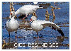 OIES DES NEIGES (Calendrier mural 2025 DIN A4 vertical), CALVENDO calendrier mensuel - Henry, Philippe