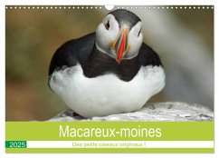 Macareux-moines Des petits oiseaux originaux! (Calendrier mural 2025 DIN A3 vertical), CALVENDO calendrier mensuel - Calvendo;Paul - Babett's Bildergalerie, Babett