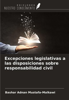Excepciones legislativas a las disposiciones sobre responsabilidad civil Cover Excepciones legislativas a las disposiciones sobre responsabilidad civil