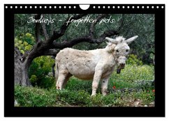 Donkeys - forgotten pets (Wall Calendar 2025 DIN A4 landscape), CALVENDO 12 Month Wall Calendar - Calvendo;Trapp, Benny