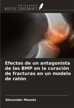 Efectos de un antagonista de las BMP en la curación de fracturas en un modelo de ratón - Mounts, Alexander